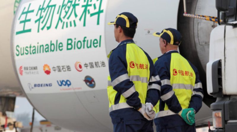 China To Become A Leader Of Global Biofuel Output Up To 25 By 2024   Bfe38a677cd2ba46827cbc38b699bcf2 800x445 