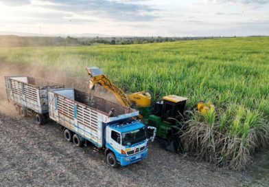 The Future of Thailand’s Sugar Industry Starts with Sustainable Vision