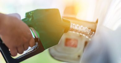 Brazil and India Lead Ethanol Charge at COP30