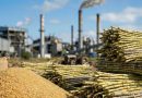 Three Sugar Mill Associations Urge Government to Promote E20 as Primary Fuel to Tackle Energy Volatility Crisis