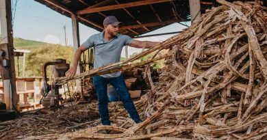 Brazil’s Agrion Targets 500,000 MT of Fertilizer from Waste Sugarcane