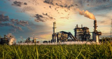 IFGE Says Sugarcane Ethanol Can Cut LPG Dependence