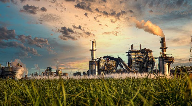 IFGE Says Sugarcane Ethanol Can Cut LPG Dependence