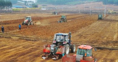 Harvesting Sweetness with Intelligence in South China