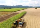 KSL Drives Thailand’s Sugar Industry Toward Net Zero Transition