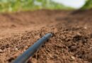 Climate-Smart Irrigation Key to Survival of Southern Africa Sugar Industry