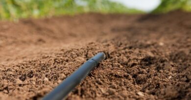 Climate-Smart Irrigation Key to Survival of Southern Africa Sugar Industry