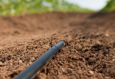 Climate-Smart Irrigation Key to Survival of Southern Africa Sugar Industry