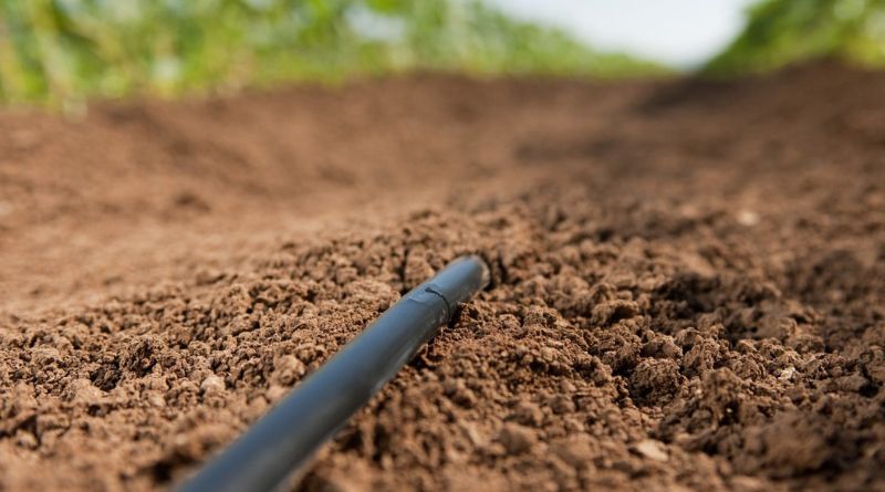 Climate-Smart Irrigation Key to Survival of Southern Africa Sugar Industry