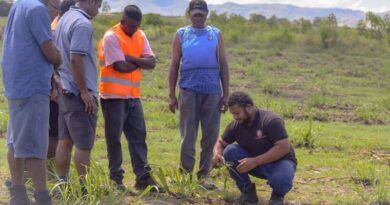 Modernization Efforts in Fiji Sugar Industry Target Next-Generation Farmers