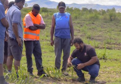 Modernization Efforts in Fiji Sugar Industry Target Next-Generation Farmers