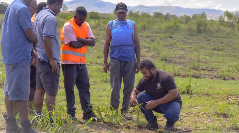 Modernization Efforts in Fiji Sugar Industry Target Next-Generation Farmers