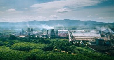 Thailand Eyes Carbon Credits for Sugar Industry CCUS in Partnership with Brazil and India